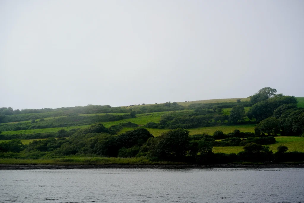 Estuary near Baltimore, West Cork