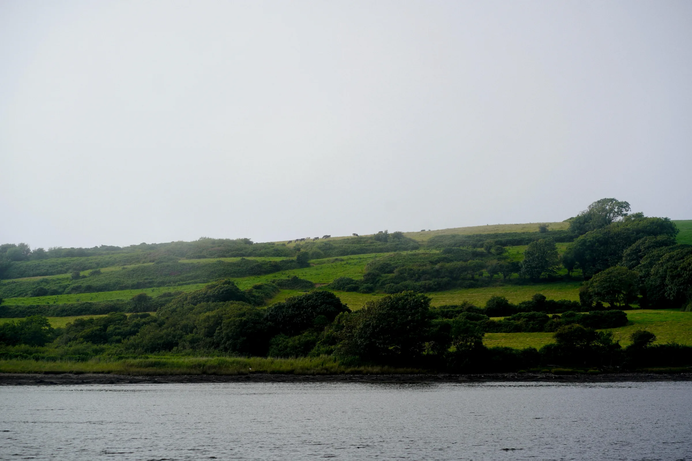 Estuary near Baltimore, West Cork