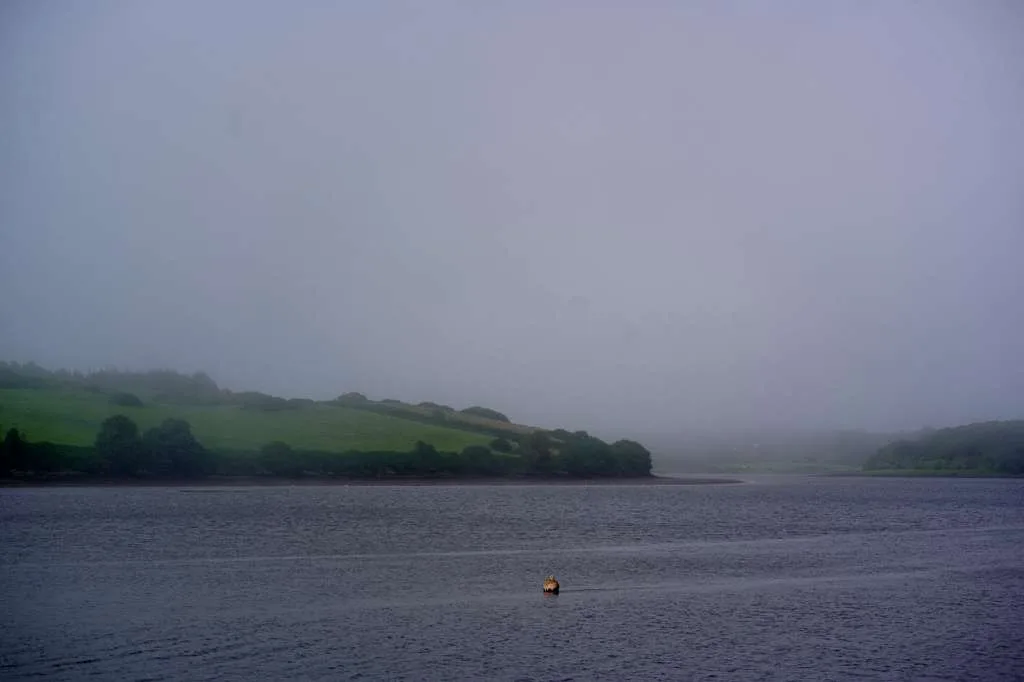 misty estuary, West Cork. By Max Acenowr